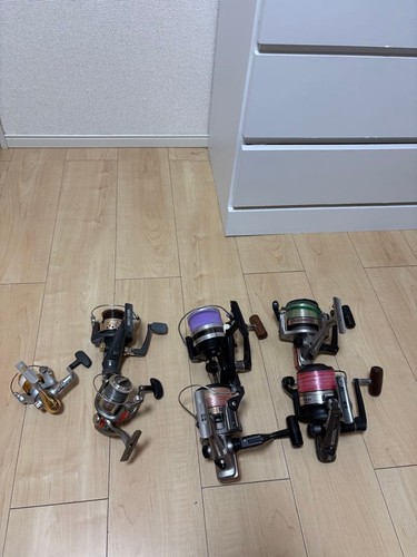 Casting reel daiwa for others - daiwa,