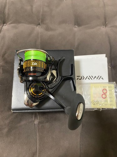 Daiwa more than - 17,